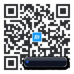 系统版 iOS 二维码